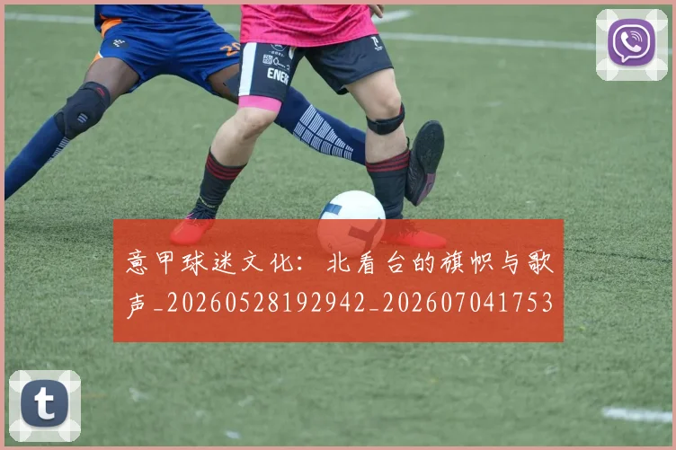 意甲球迷文化：北看台的旗帜与歌声_20260528192942_20260704175311_20260723180100